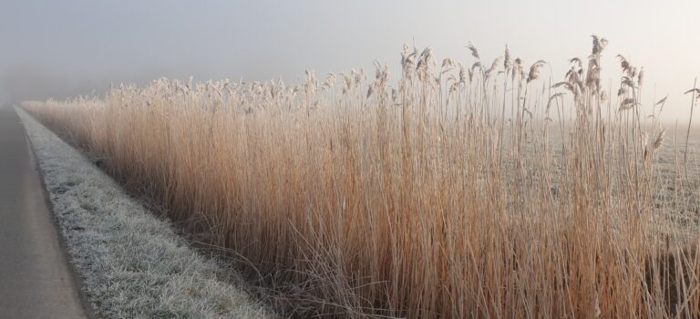 Innere Freiheit. KAIVALYA. – Willkommen bei Yoga-Kaivalya – Innere Freiheit. KAIVALYA. – Willkommen bei Yoga-Kaivalya –